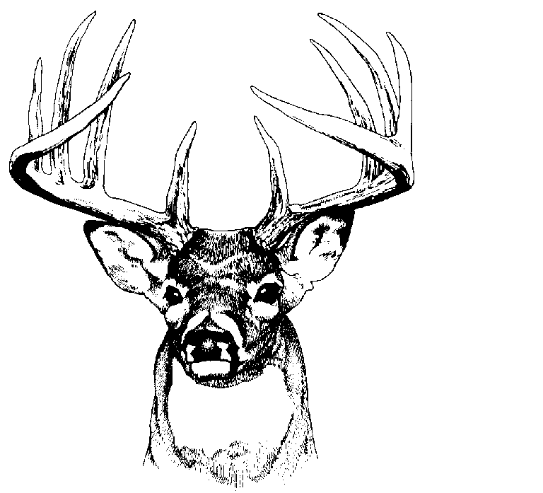 Main fundraiser image
