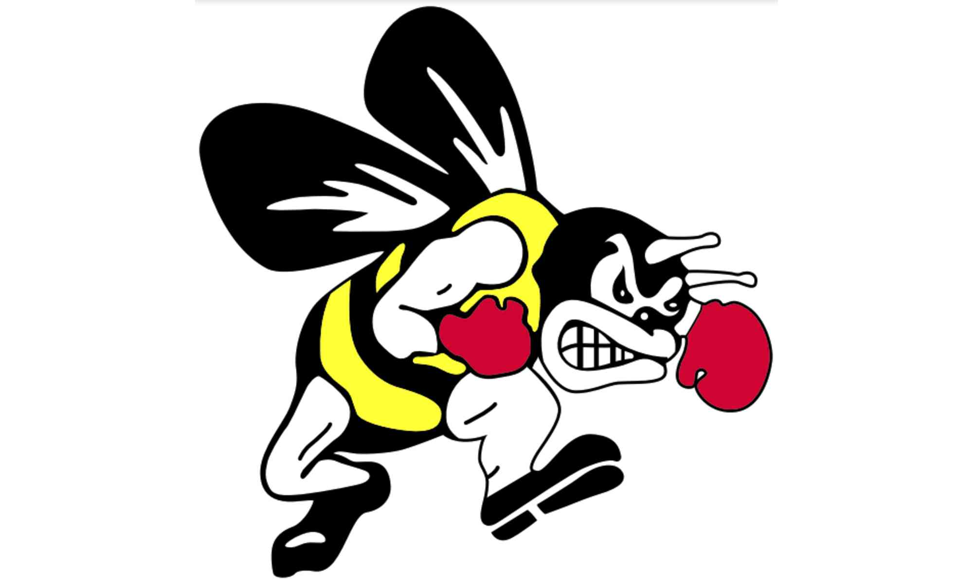 Main fundraiser image
