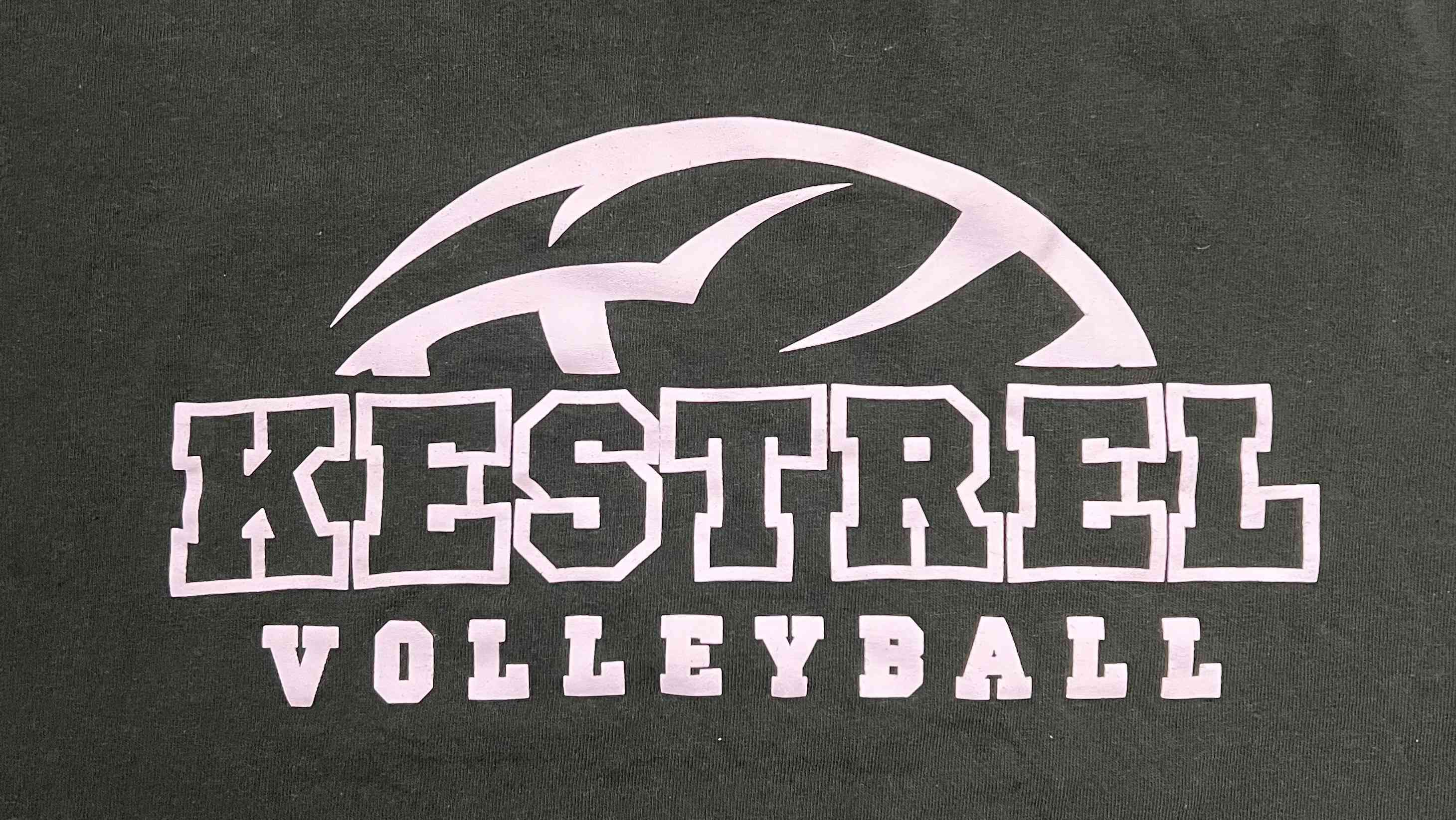 Main fundraiser image